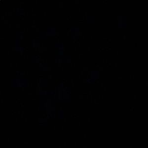 Meet your Posher, Jamila